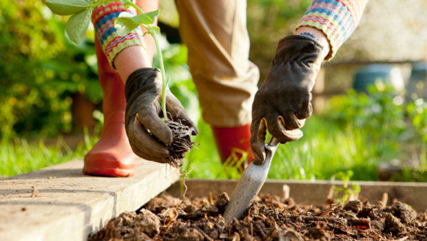 20160329053354_SUSTRATOS_PARA_JARDINERIA