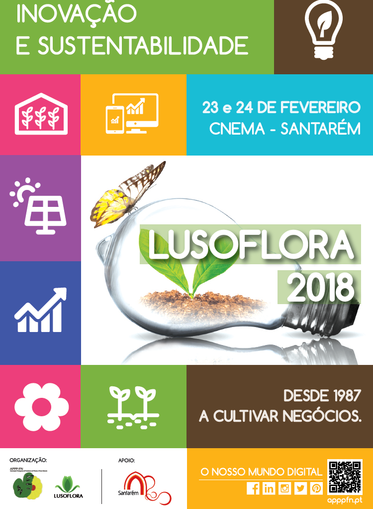 20171121122958_cartaz_imagem