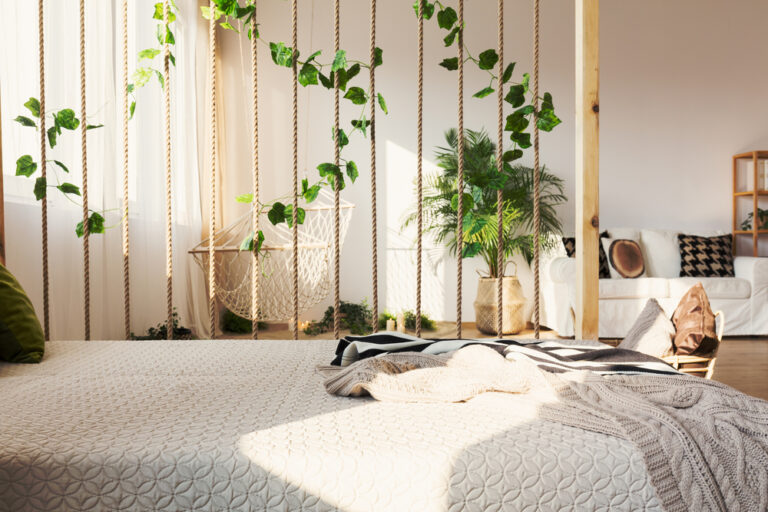 20190111114808_hiedra-interior