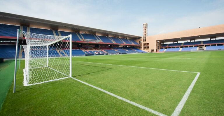 20190225113836_futbol-cesped-natural-15