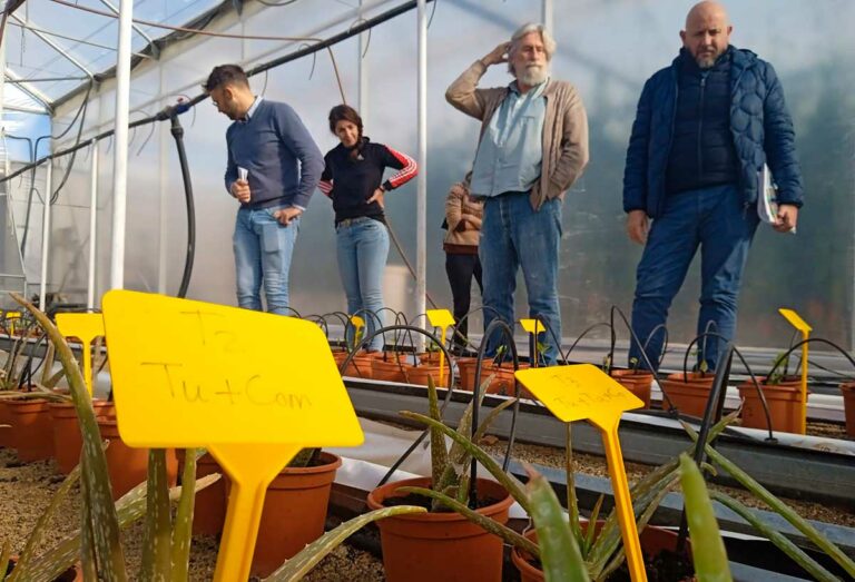 20221215_reunion-comite-tecnicos-coexphal_19122022085114