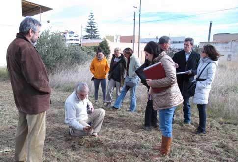 21012013101126_huerto