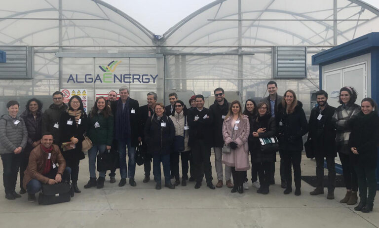21022019103454_visita_algaenergy