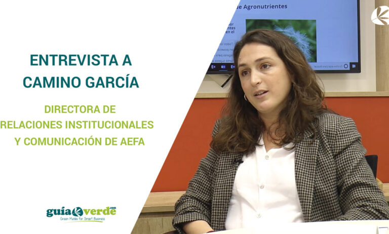 21022019142406_aefa-noticia-gv