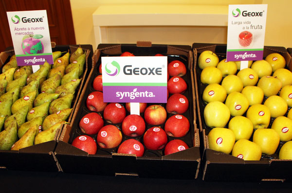 21042016165555_geoxe-para-manzanas-y-peras_syngenta
