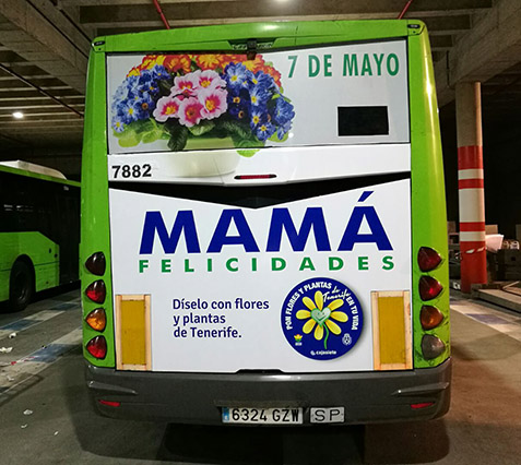 21042017095947_autobus_pon_flores_plantas