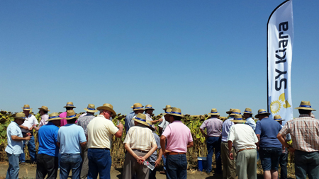 21072015100122_syngenta_andalucia