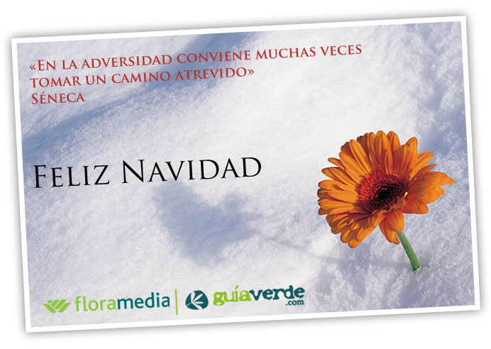 21122012122104_feliz_navidad