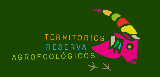 22052012123807_terrae