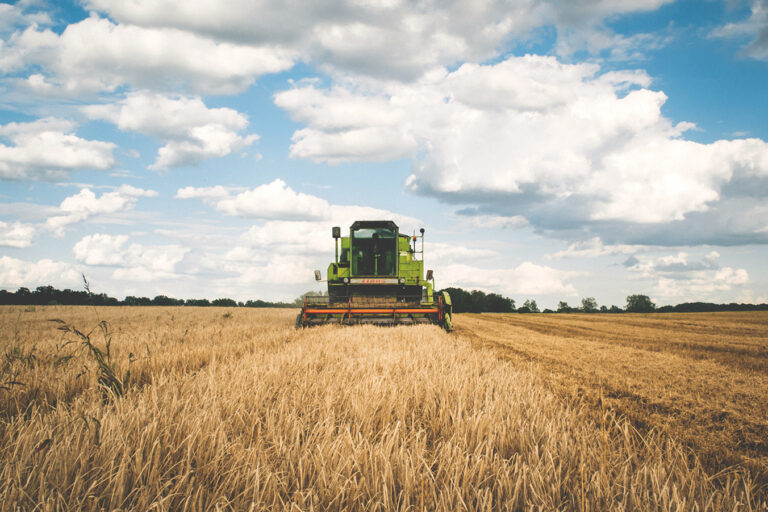 22052018104221_agriculture-cereal-clouds-175389