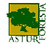 22092010123332_1asturforesta