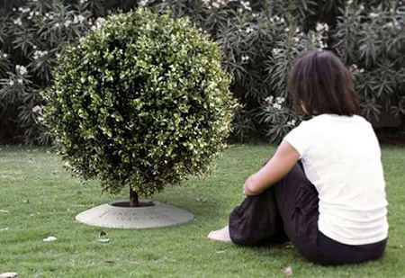 23032018084135_urnas_arbol