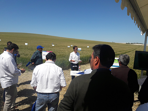 23052018090516_un_momento_de_la_jornada_syngenta