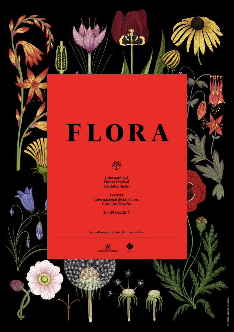 23102017153820_flora