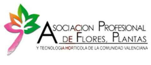 23122015132835_asfplant