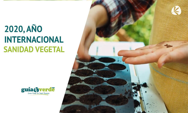 24012019102806_foto-sanidad-vegetal