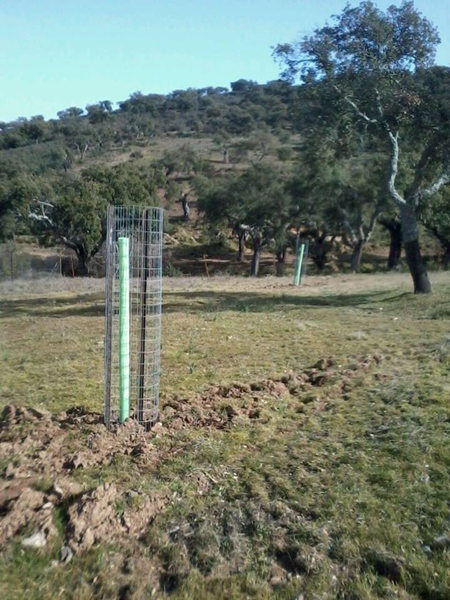 24032015090037_refo