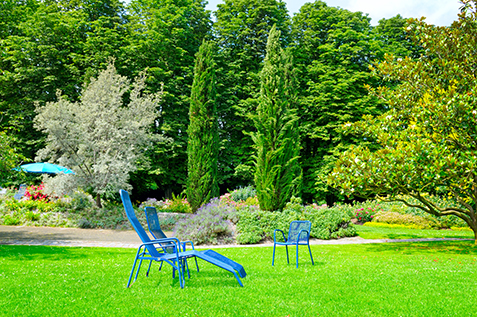 beautiful summer park with lawn and recliner