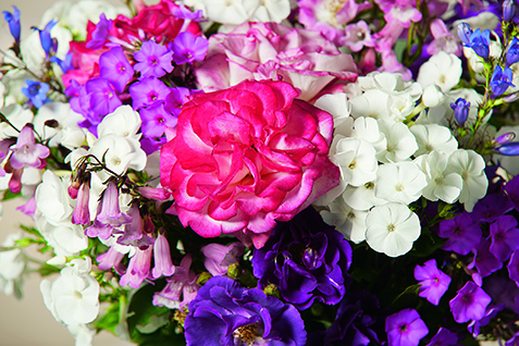 24052018121741_flores_market