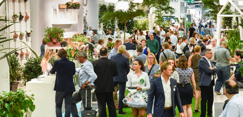 24072017081830_die_messe_495x240