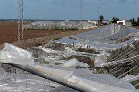 25012013132435_agroinformacion_com