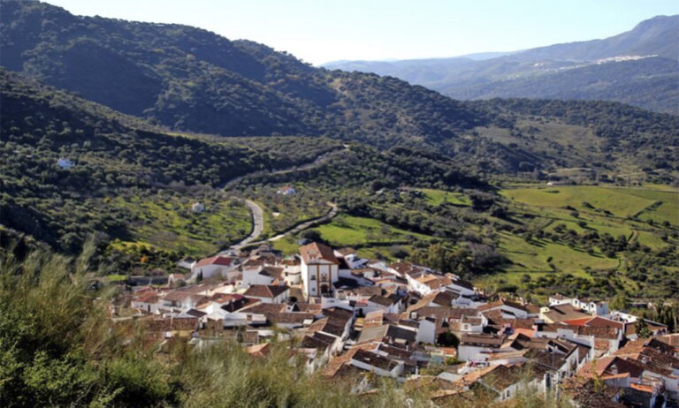 25012019123934_andalucia-en-flor