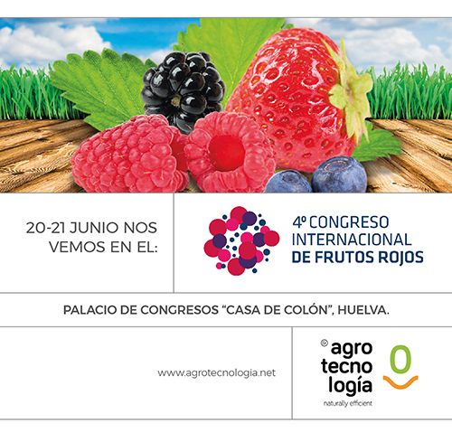 25062018092555_frutos_rojos