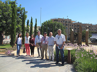25062018114728_villas_flor_torrent