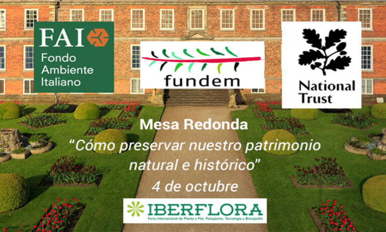25092018085455_fundem