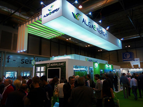 25102017131421_algaenergy1