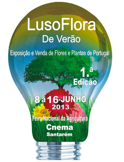 26062013091422_lusoflora
