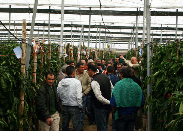 27022013164638_visita_zeraim