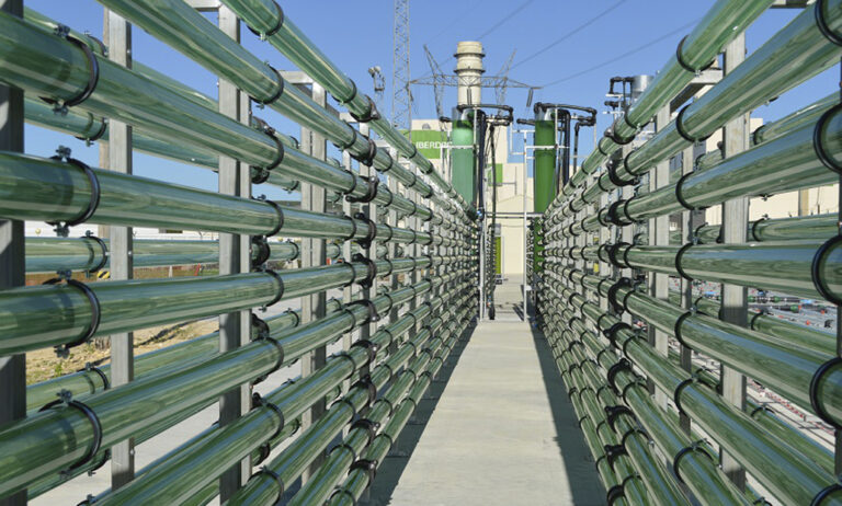 27022019155738_algaenergy-internacionalizacion