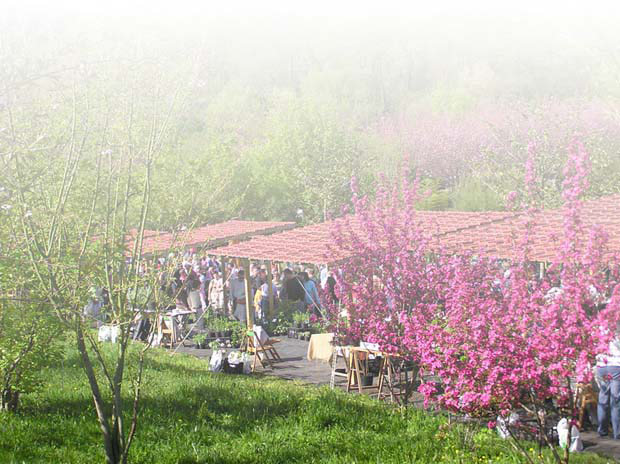 27042012133204_images_jardin_principal