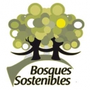 27062013164307_bosques