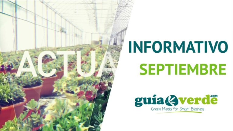27092018084240_miniatura_informativo_sept