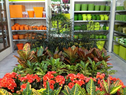 27112012093521_artiflora-ambientarium_7