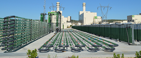 27122017180817_algaenergy