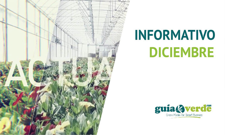 27122018091955_foto-informativo-diciembre