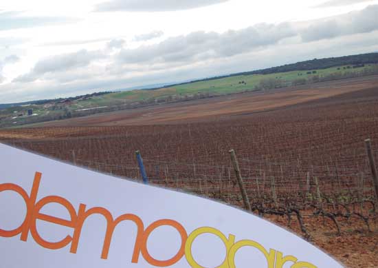28012013111119_finca-para-demoagro