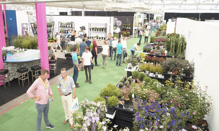 28082018092657_plantarium
