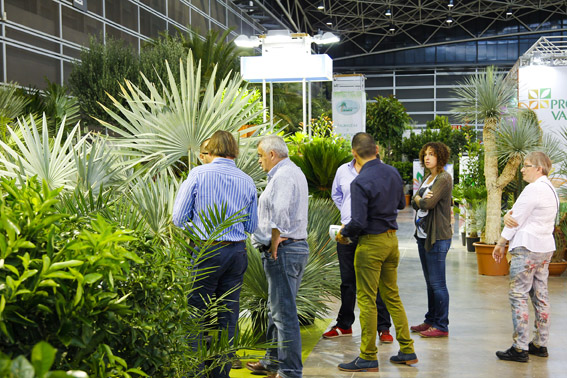28092015140440_iberflora