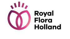 28102016144705_royal_flora_holland