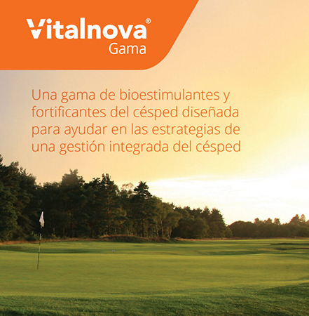 29052017170339_vitalnova