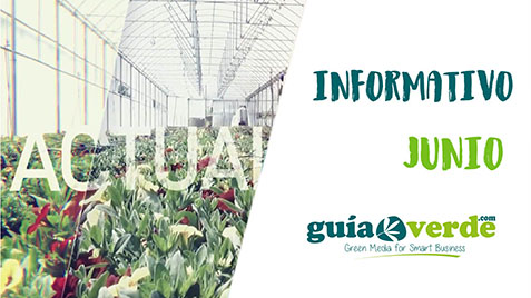 29062018123957_miniatura_informativo_junio-01pq