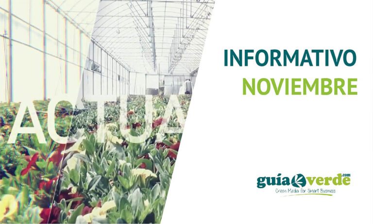 29112018090811_foto-informativo-noviembre