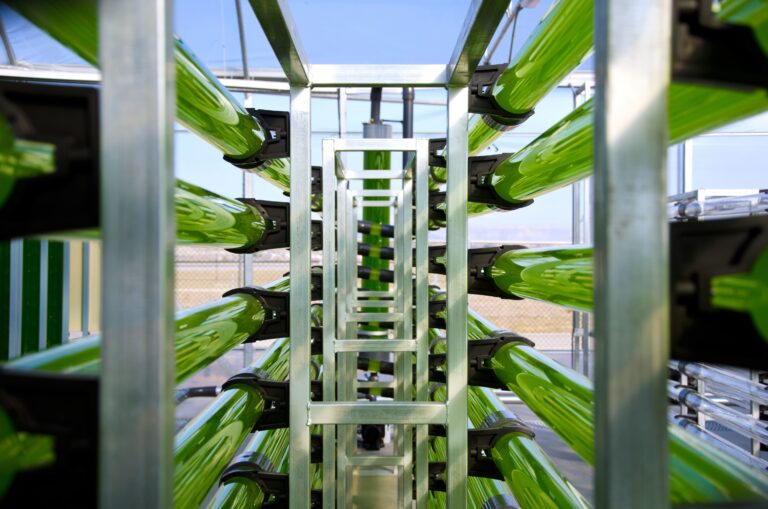 2_tubular_photobioreactor_1_07062019084155