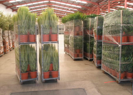 30032015182153_tranporte_plantas
