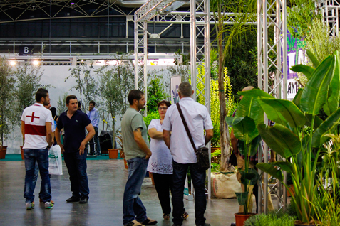 31072015142724_iberflora