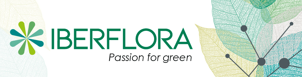 Iberflora cabecera